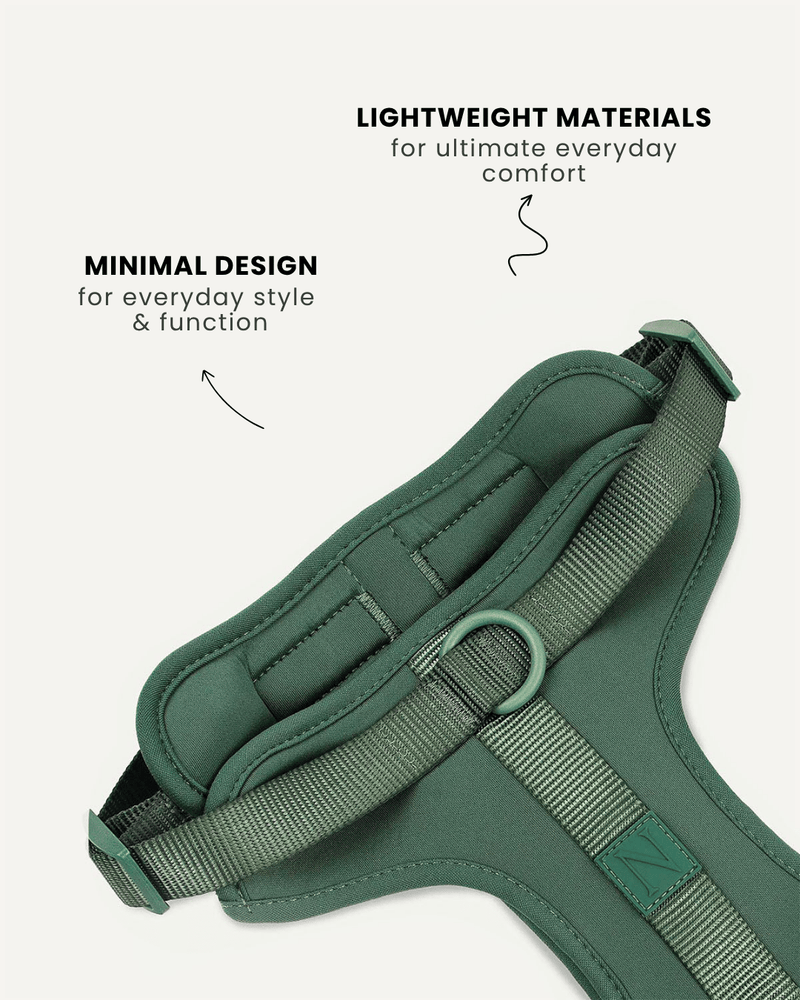 Green minimal no-pull dog harness, Le Noof