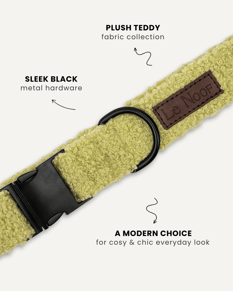 Light Green Teddy Dog Collar