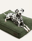 Dalmatian dog laying on green boucle dog bed