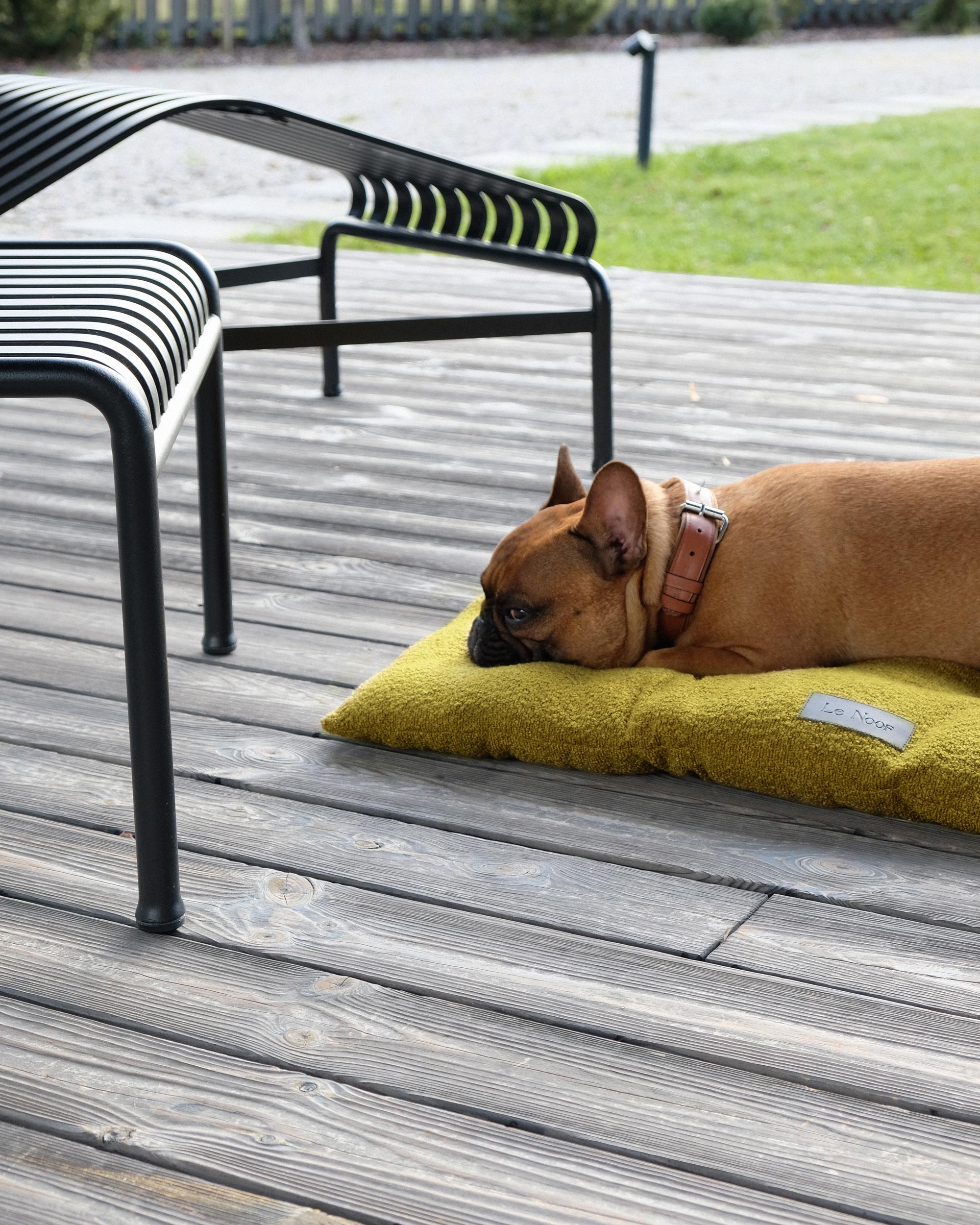 Chartreuse green boucle floor dog pillow, Le Noof