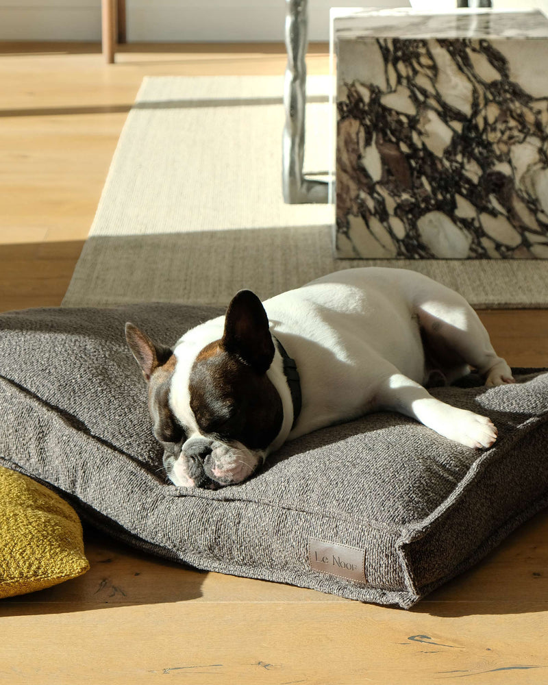 french bulldog lying on Le Noof Premium Boucle Square dog bed in the living room