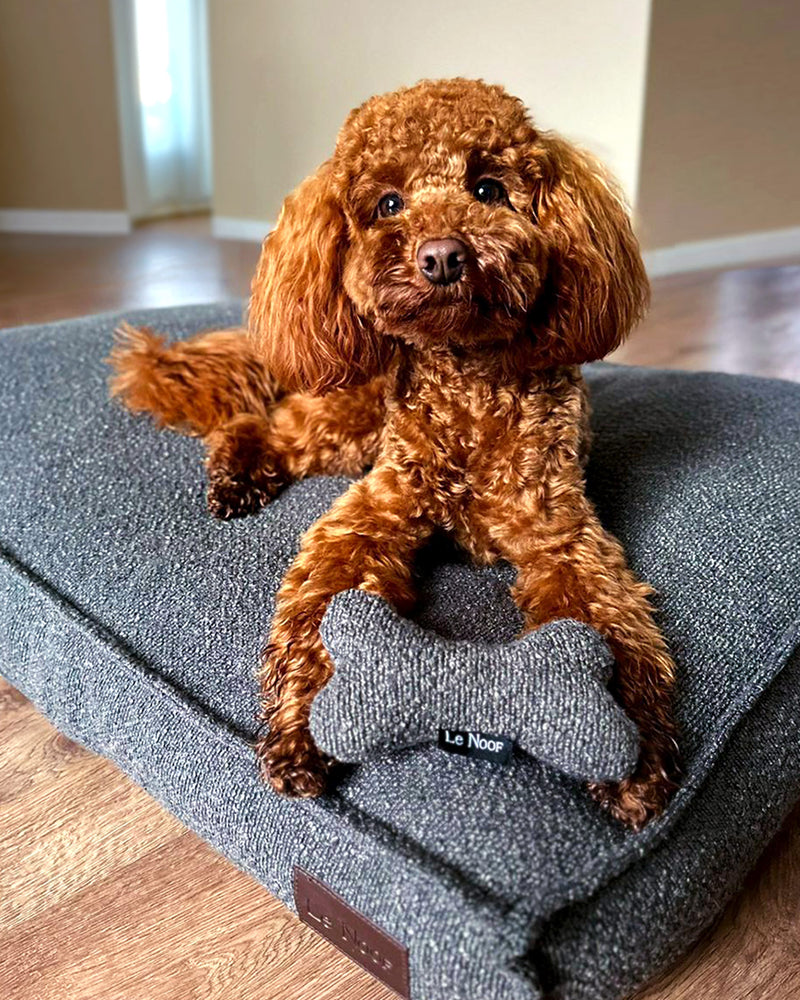 Grey boucle dog bed, Le Noof