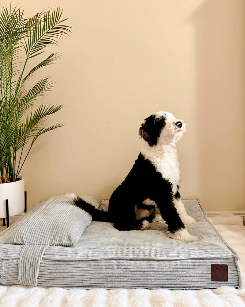 Grey corduroy orthopedic dog bed, Le Noof