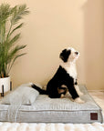 Grey corduroy orthopedic dog bed, Le Noof