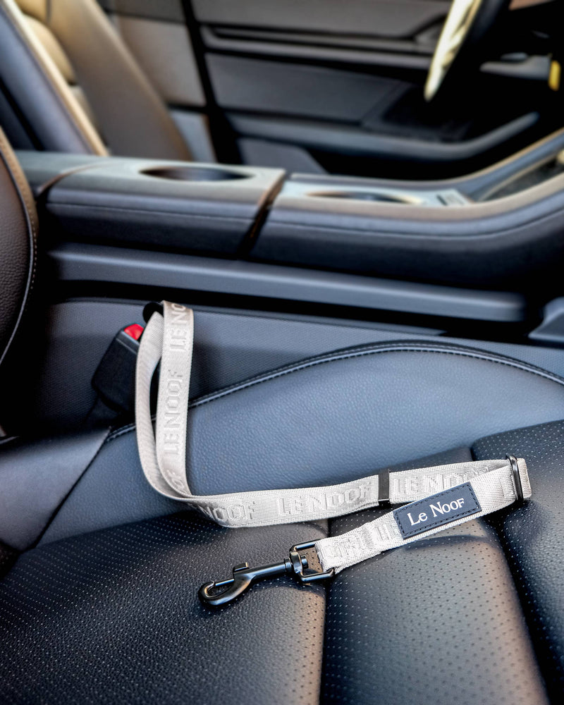 Grey Le Noof dog seat belt buckled in the car