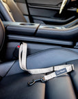 Grey Le Noof dog seat belt buckled in the car