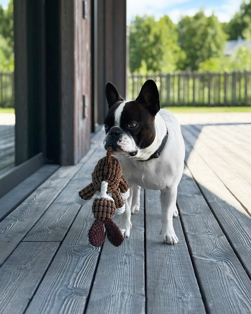 Hops the Donkey – Plush Dog Toy