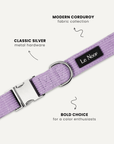 Lavender corduroy dog collar close-up, Le Noo