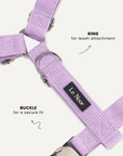 Lavender corduroy step-in dog harness close-up, Le Noof