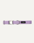 Purple Lavender corduroy dog collar by Le Noof