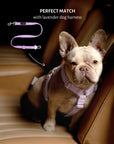 Lavender dog harness and seatbelt travel set, Le Noof