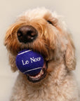 Dog Tennis Balls (Set of 3) Midnight Set