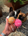 Three custom pet tennis balls held in a hand, with two French Bulldog dogs looking on in an outdoor garden setting.