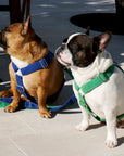 Kelly Green Corduroy Dog Step-In Dog Harness