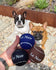 Three dog toy balls held in a hand in front of two French bulldogs in a garden setting. The balls are textured and printed with the brand name 'Le Noof'.