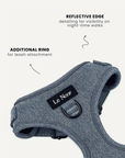 Denim Dog Harness Set