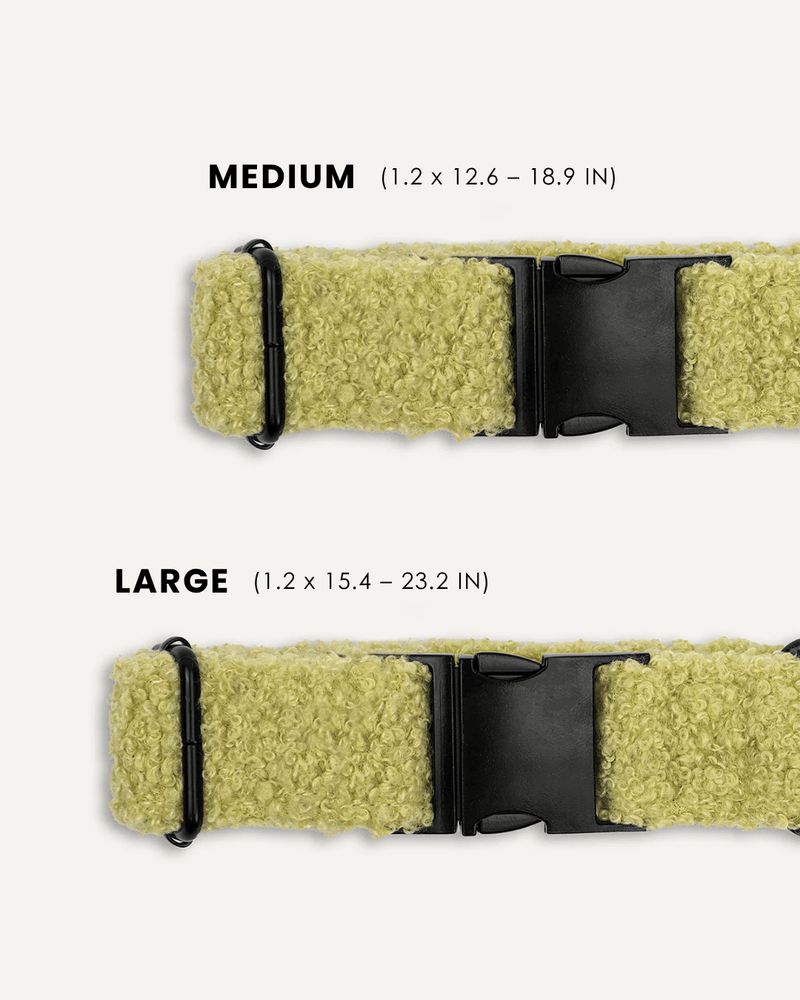 Light Green Teddy Dog Collar