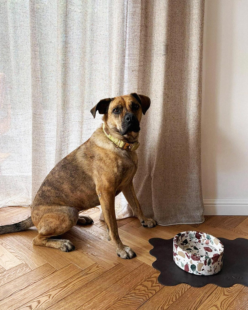 Wavy dog bowl mat with terrazzo bowl, Le Noof
