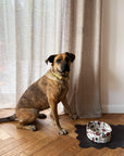 Terrazzo Marble Dog Bowl