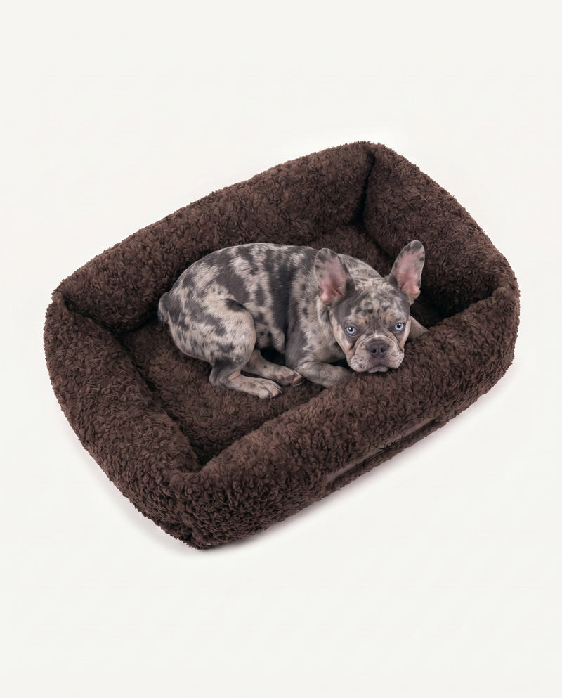 French Bulldog Brown Teddy Dog Bed