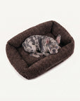 French Bulldog Brown Teddy Dog Bed