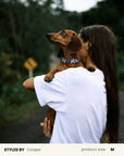 Mix & Match Dog Collar Set
