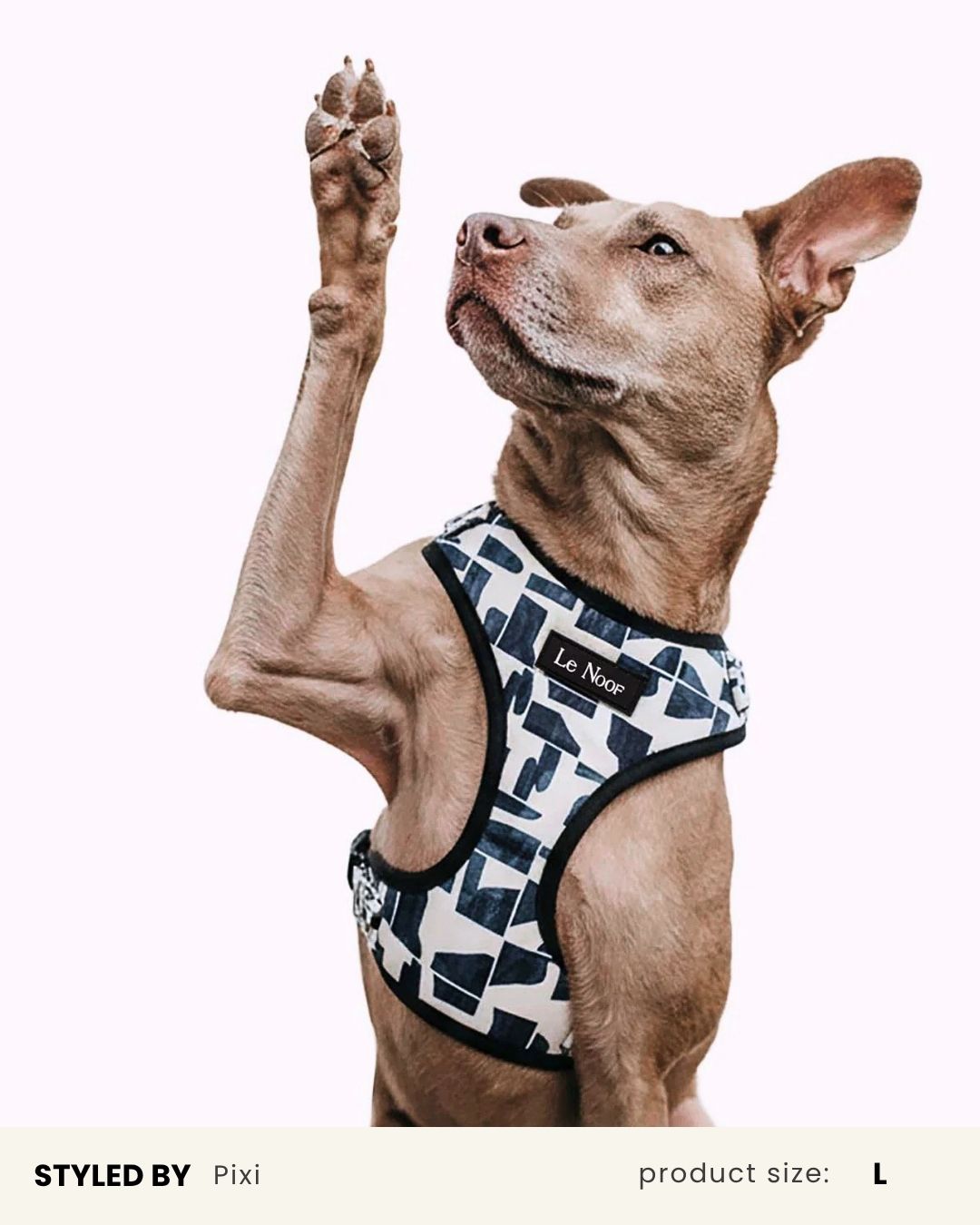 Mix &amp; Match Dog Harness Set