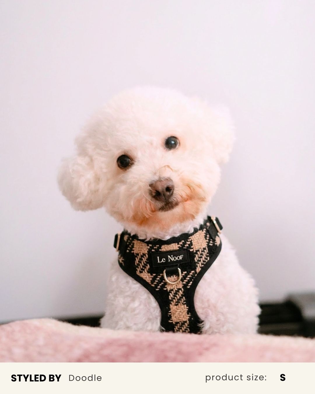Mix &amp; Match Dog Harness Set