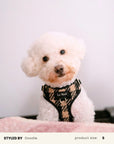 Mix & Match Dog Harness Set