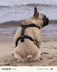 Jacquard Dog Harness Set