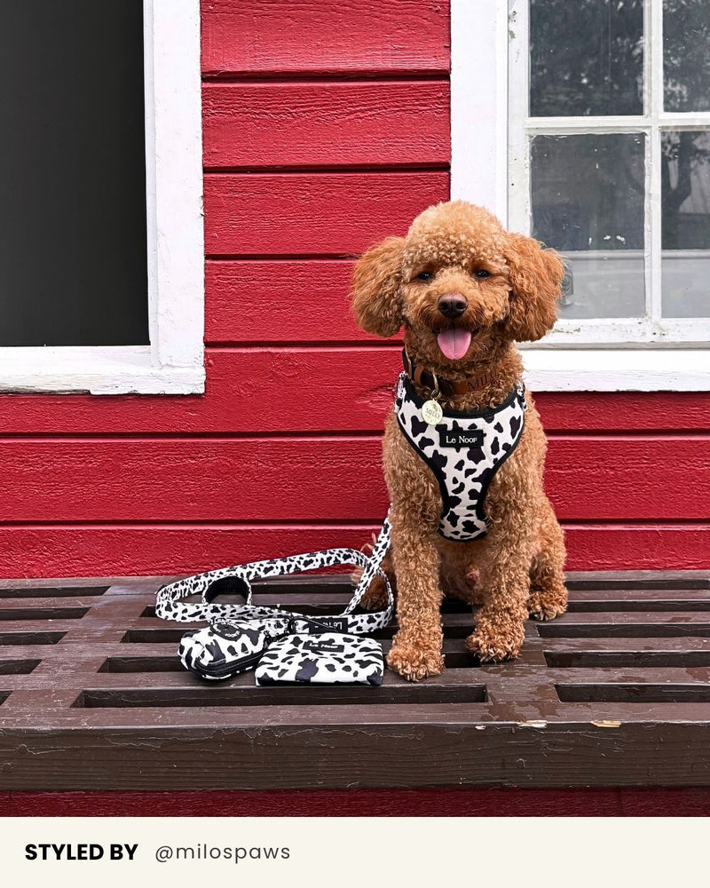 Cow Print Dog Treat Pouch