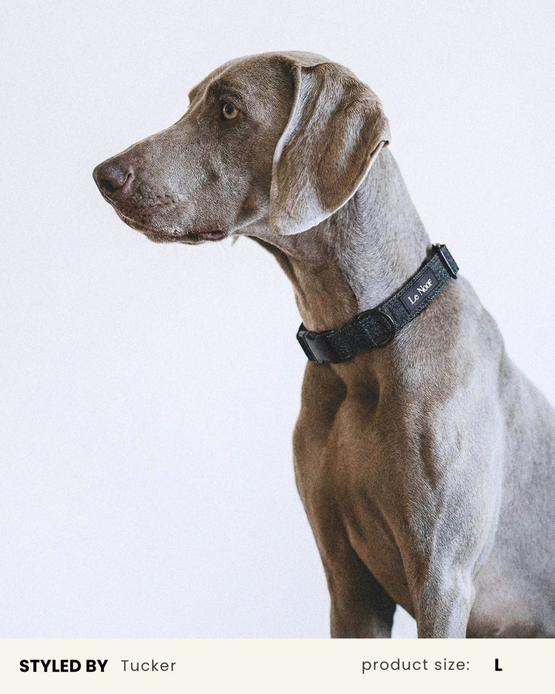 Black Denim Dog Collar