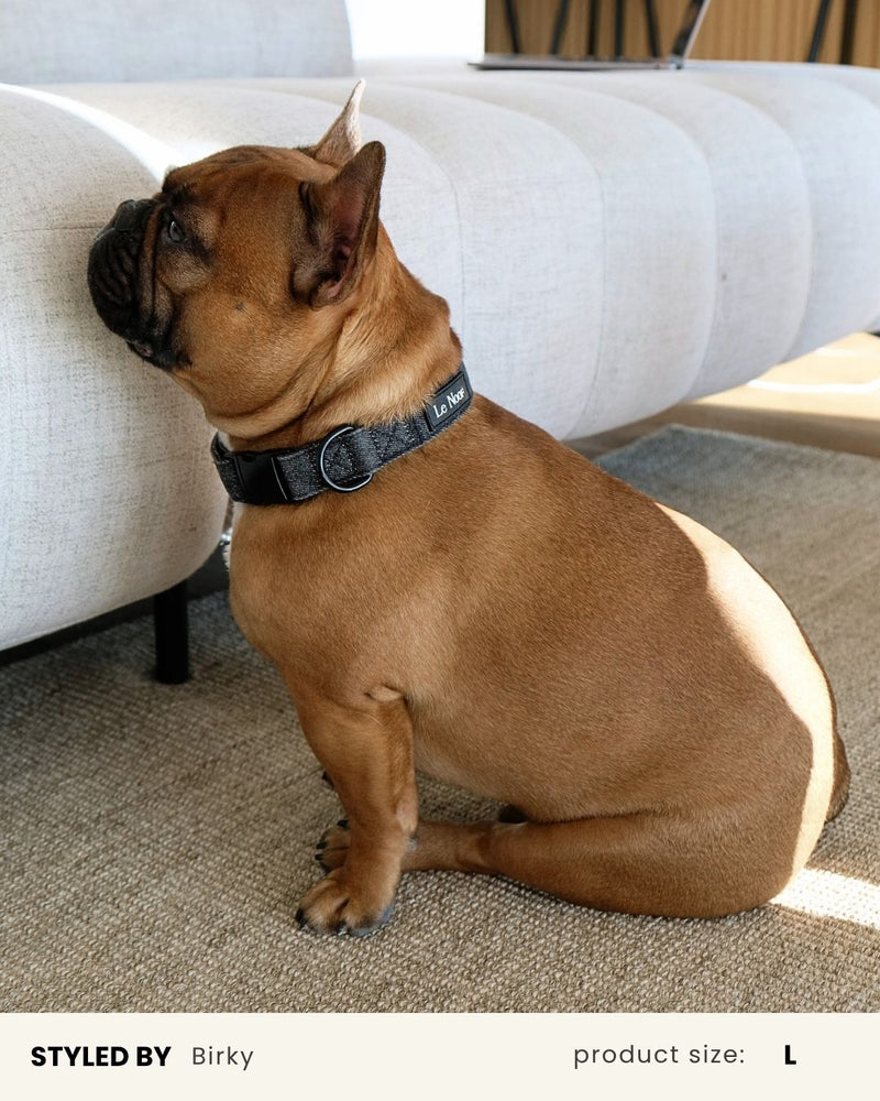 Black Denim Dog Collar