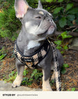 Brown Checkered Dog Leash