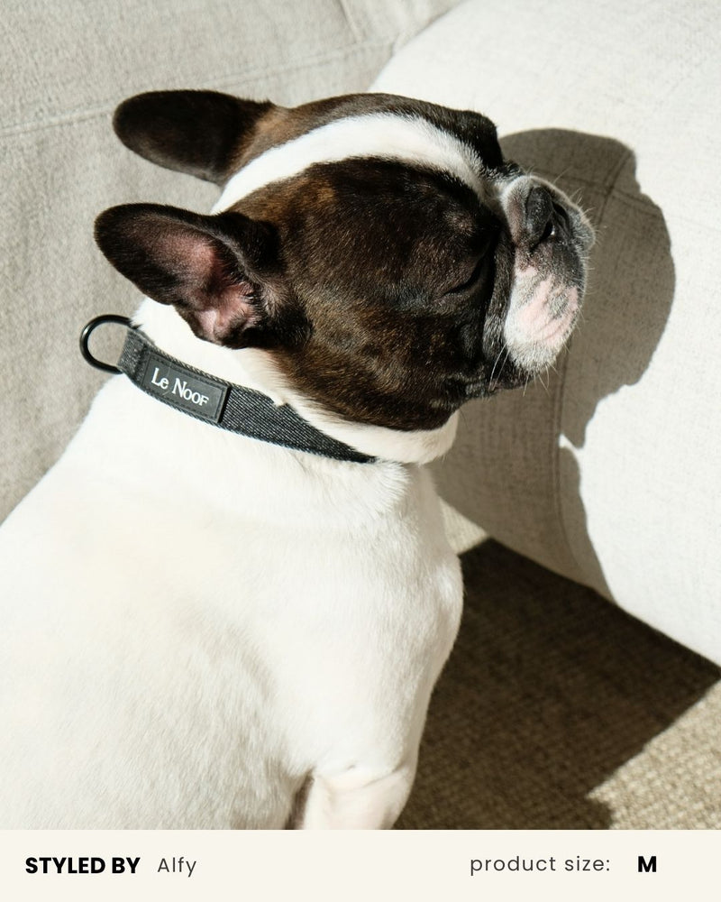 Black Denim Dog Collar
