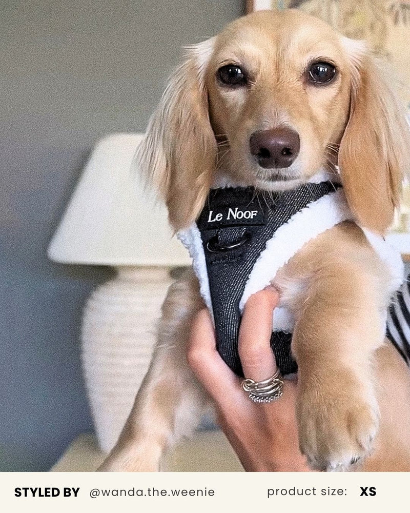 Black Denim Dog No-Pull Vest Harness