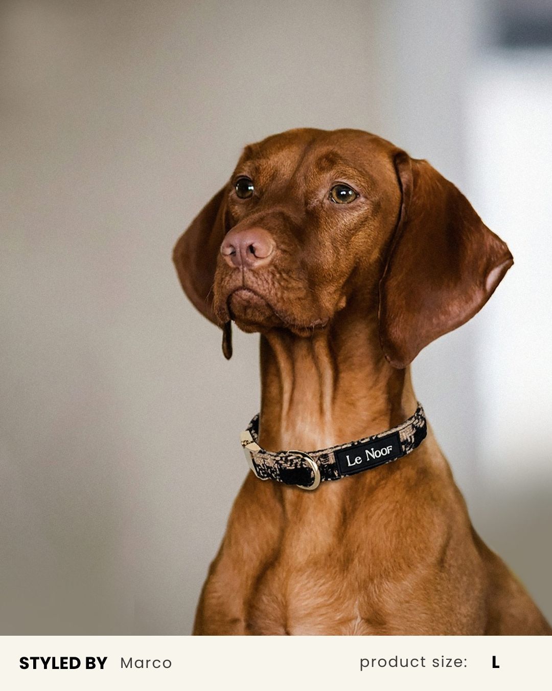 Brown Checkered Dog Collar
