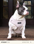 Mix & Match Dog Harness Set