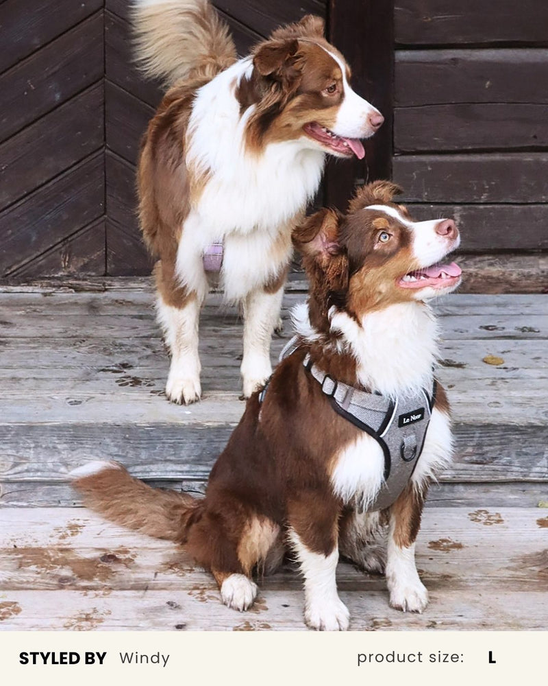 Brown Herringbone Tough No-Pull Harness