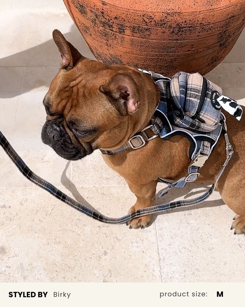Blue Plaid No-Pull Backpack Harness