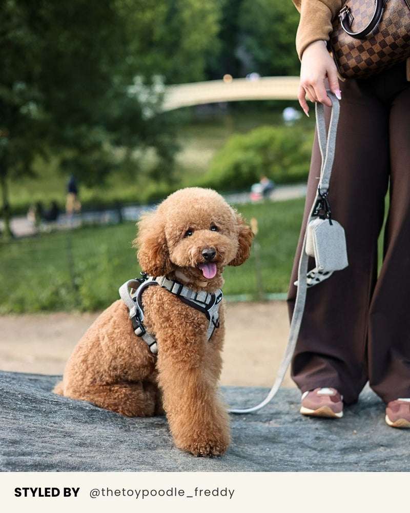 Brown Herringbone Dog Treat Pouch