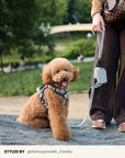 Brown Herringbone Dog Leash