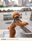 Brown Herringbone No-Pull Harness Set