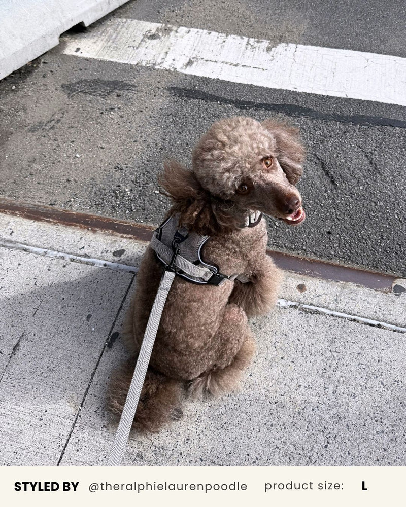 Brown Herringbone Tough No-Pull Harness
