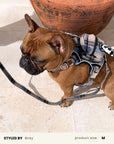 Plaid Dog Harness Set