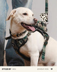 Plaid Dog Collar Set