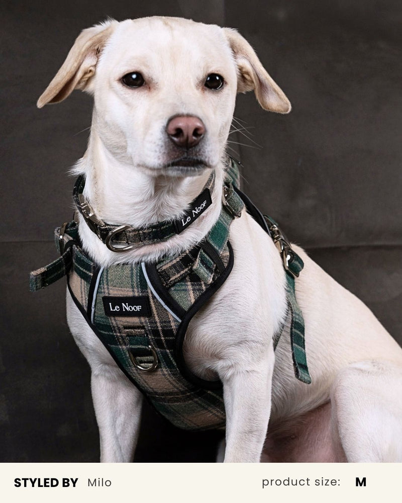 Green Plaid No-Pull Backpack Dog Harness
