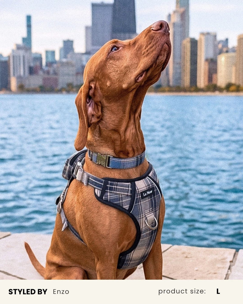 Blue Plaid No-Pull Backpack Harness