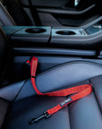 Red Le Noof dog seat belt buckled in the car