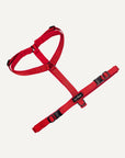 Jacquard Dog Harness Set